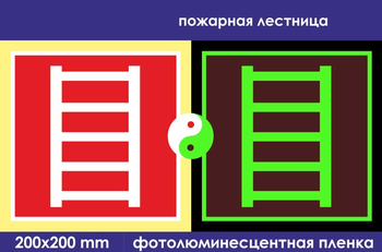 F03 пожарная лестница (фотолюминесцентная пленка, 200х200 мм) - Знаки безопасности - Фотолюминесцентные знаки - ohrana.inoy.org